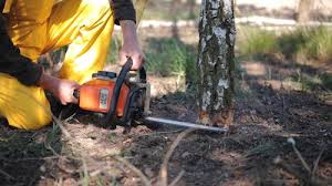 Lawn Grading and Leveling in Ogdensburg, NY